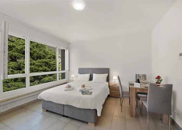 Alta Vista - Happy Locarno