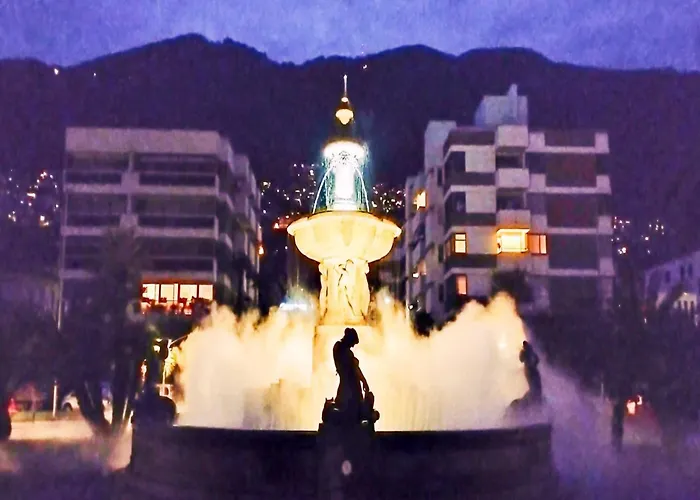 Alta Vista - Happy Locarno